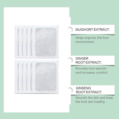 Herbal Detox Foot Pads(Pack of 2)